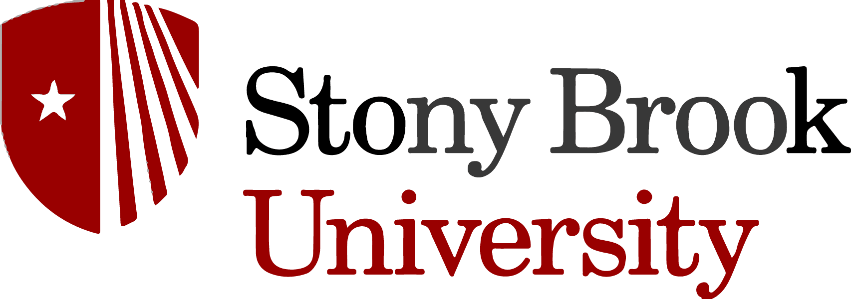 Stony Brook University